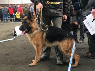 OV Albertovec 5.3.2022