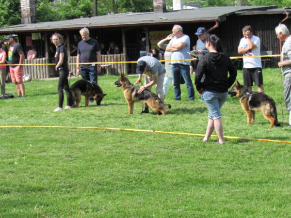 OV Ostrava-Zábřeh 14.5.2022
