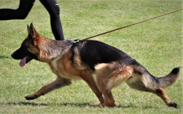 OV Orlová 17.7.2022