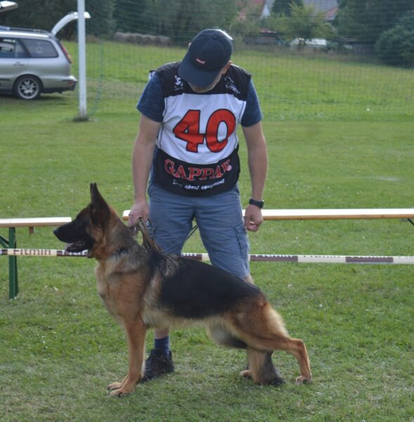 CHELSEA V4 Milotice nad Opavou