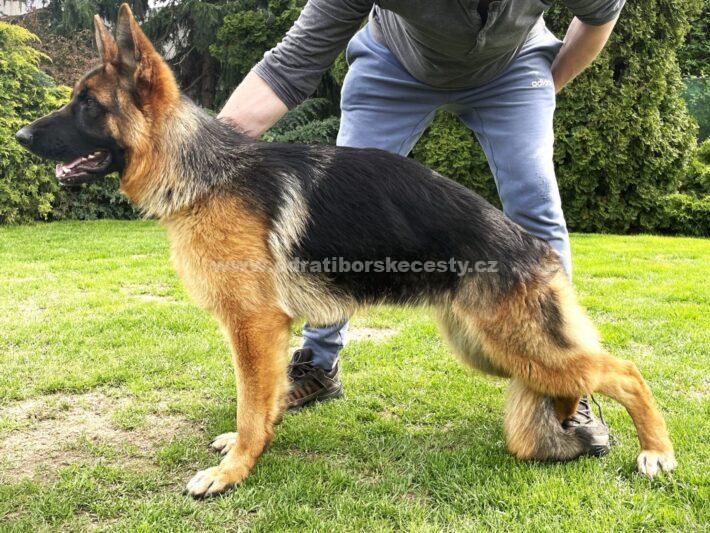 Justyna od Ratibořské cesty