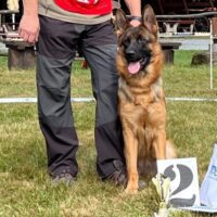 OV Horka - TDS - VD2