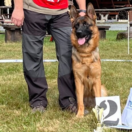 Výstava Horka nad Moravou 14. 9. 2025